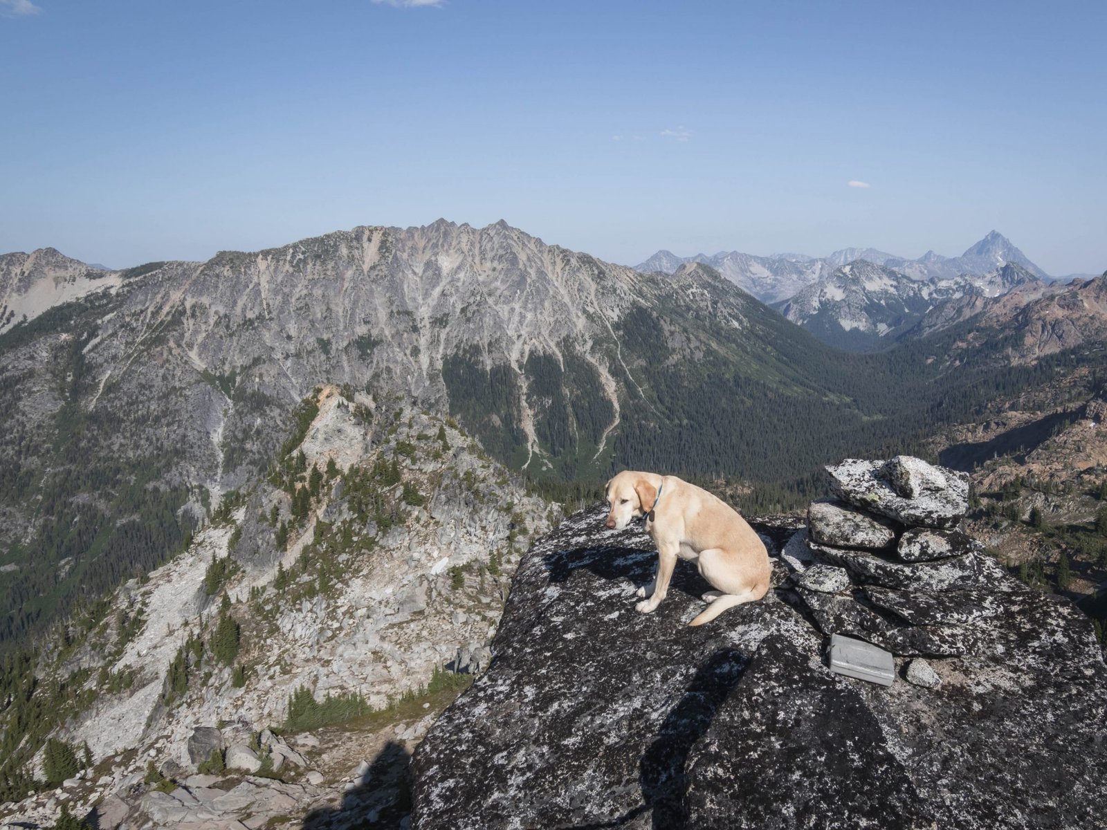 Summit dogs on Sherpani Peak