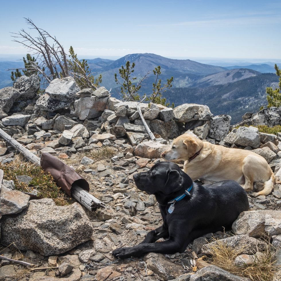 Summit dogs on Old Baldy