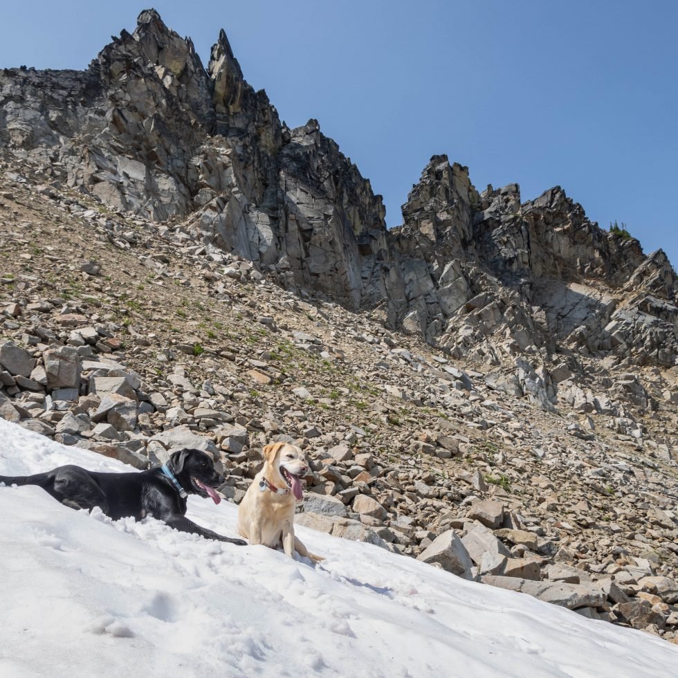 Summit Dogs on The Cradle