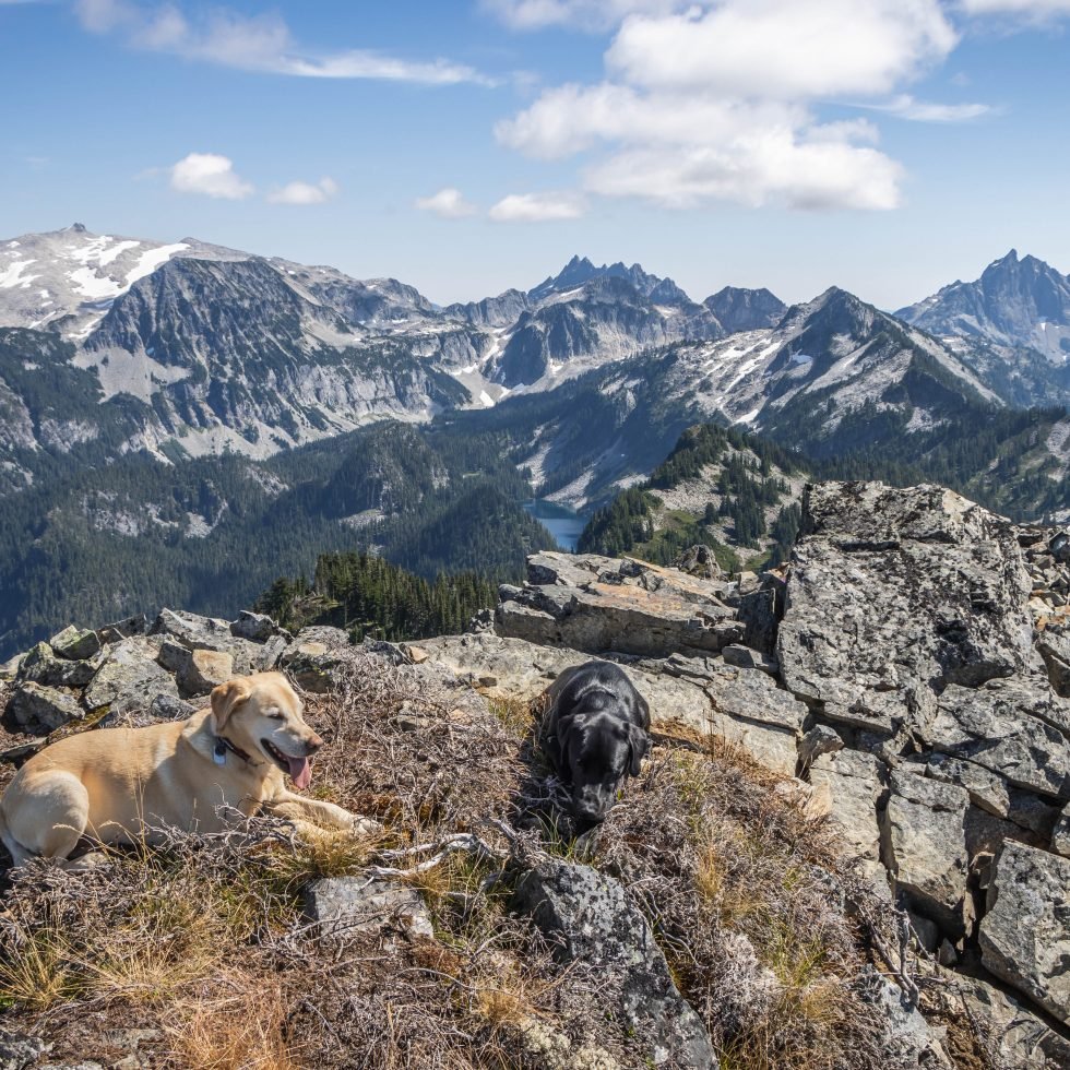Summit Dogs on Silver Eagle Peak