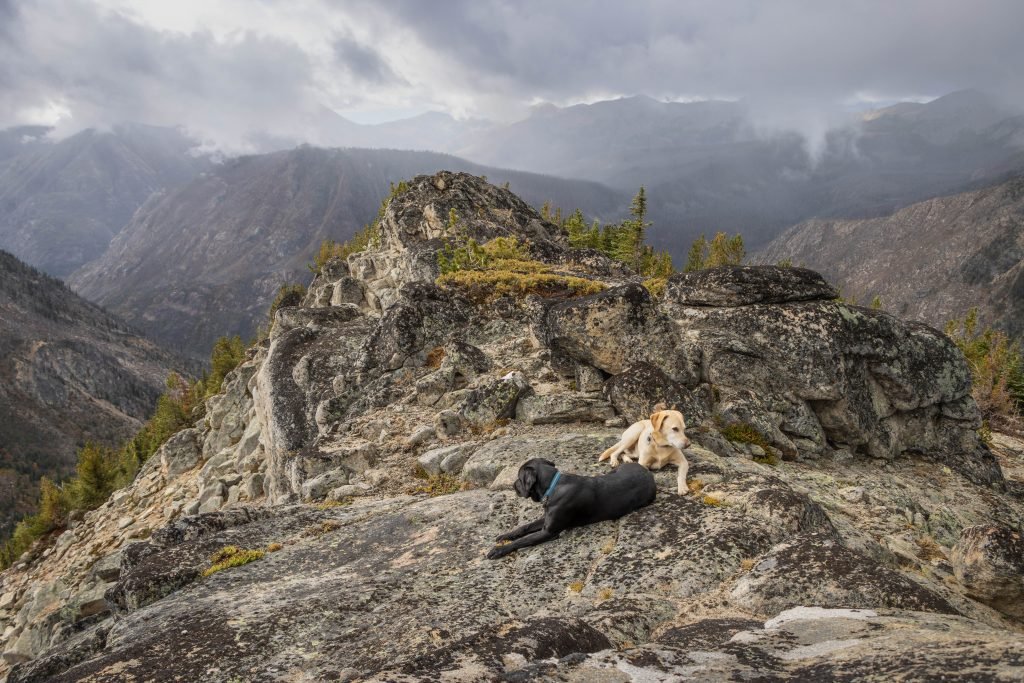Summit Dogs on Flaming Peak